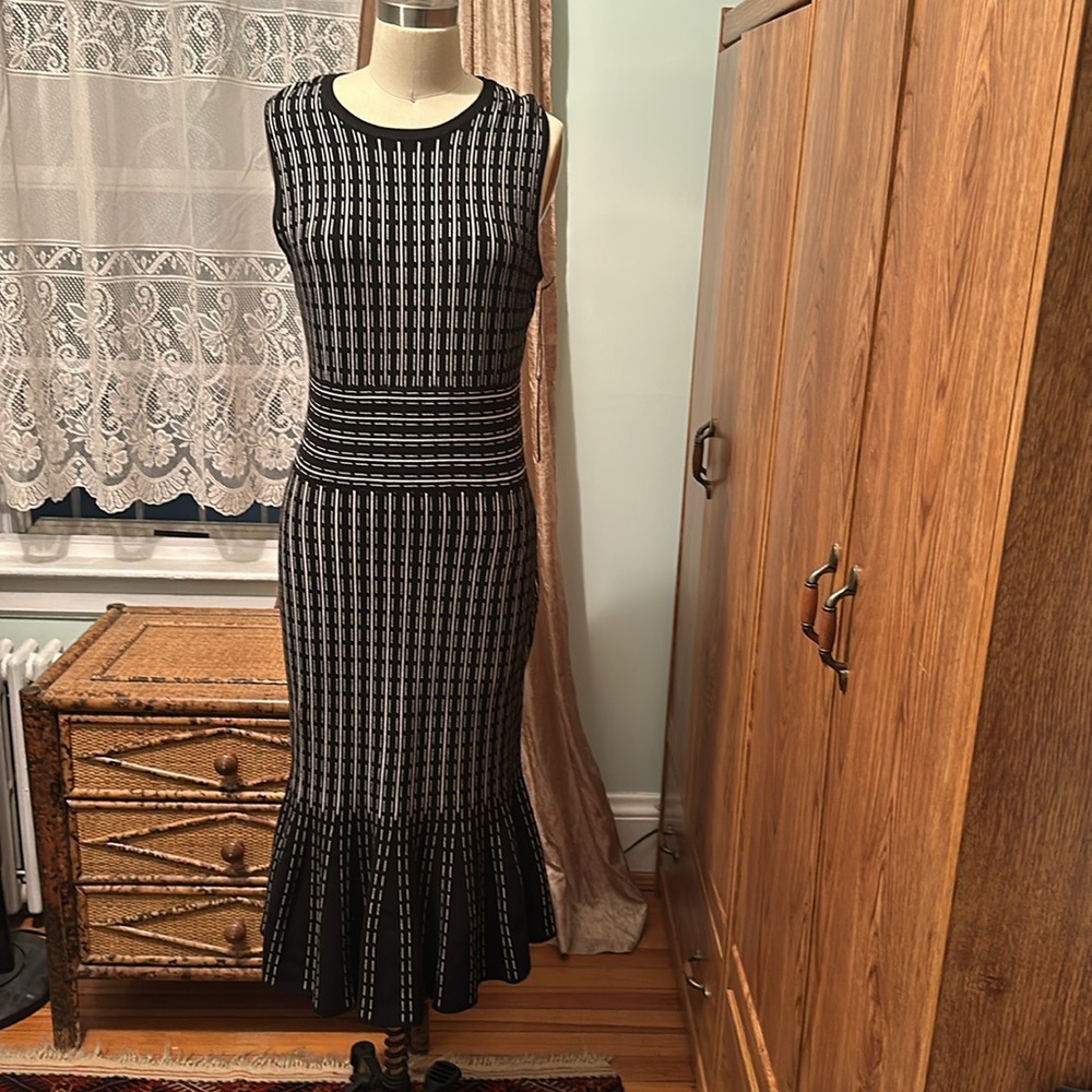 🌺🌺 NWT TAHARI GADE DRESS SIZE L